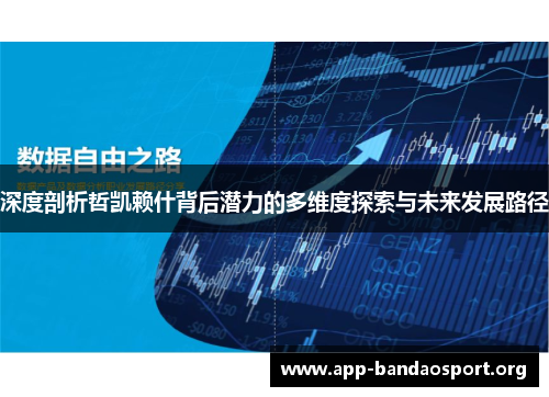 深度剖析哲凯赖什背后潜力的多维度探索与未来发展路径