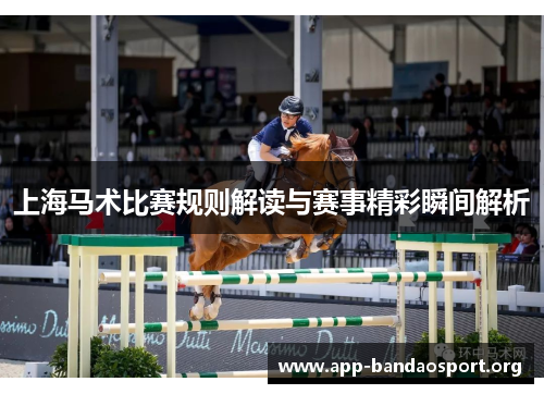 上海马术比赛规则解读与赛事精彩瞬间解析