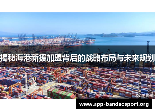 揭秘海港新援加盟背后的战略布局与未来规划