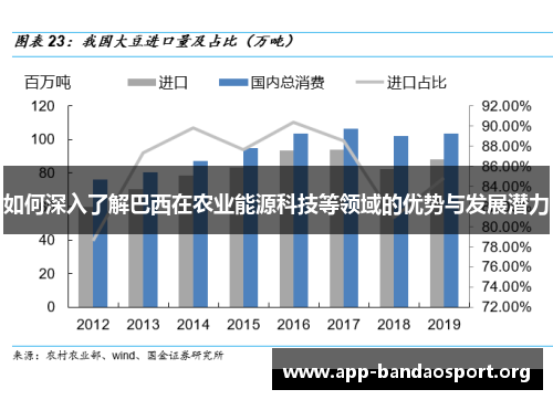 如何深入了解巴西在农业能源科技等领域的优势与发展潜力