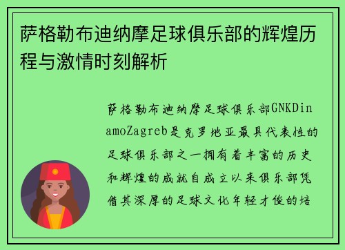 萨格勒布迪纳摩足球俱乐部的辉煌历程与激情时刻解析