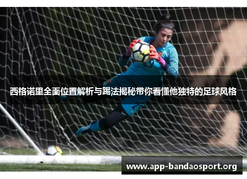 西格诺里全面位置解析与踢法揭秘带你看懂他独特的足球风格