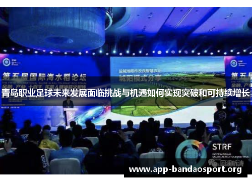 青岛职业足球未来发展面临挑战与机遇如何实现突破和可持续增长