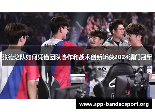 张德培队如何凭借团队协作和战术创新斩获2024澳门冠军